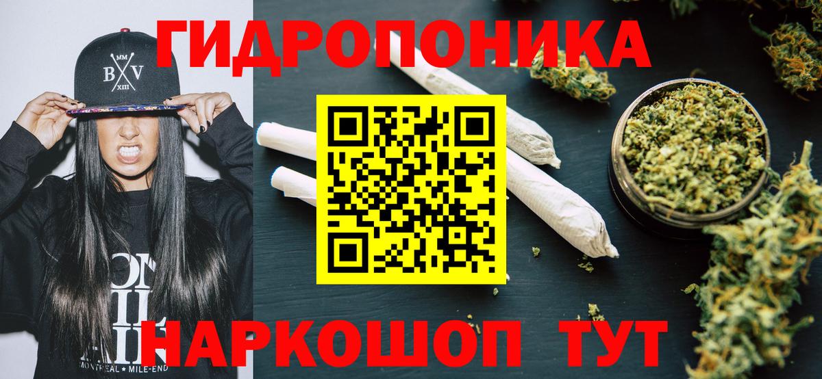 Шишки марихуана OG Kush Мурино