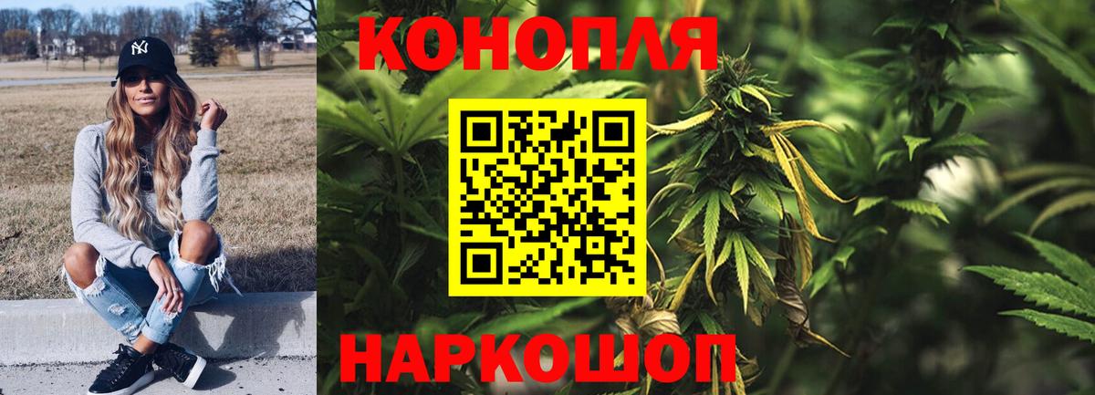 Конопля ГИДРОПОН  Марихуана семена  Марихуана индика  Каннабис индика  Мурино  Вход с VPN 